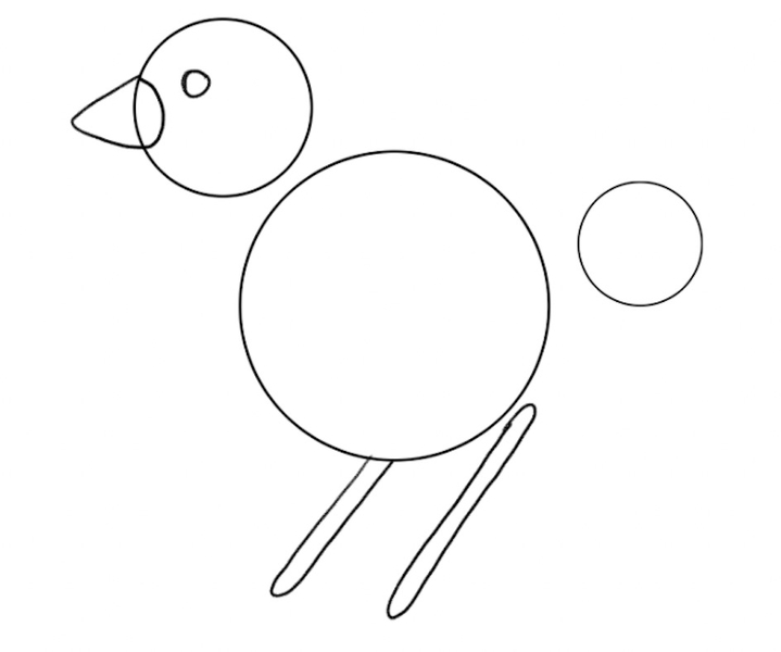 Two 2D lines are added under the bird’s belly to depict the legs.​