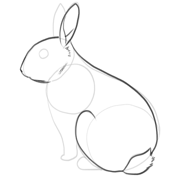 The bunny’s head and its left ear are outlined with a darker pencil.