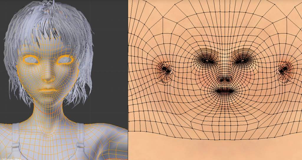 Blender is a free, powerful, open-source character creation software.