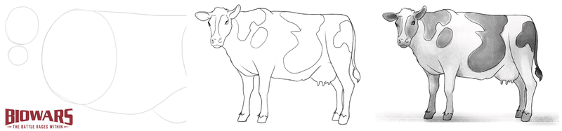 Steps showing the process of creating a cow drawing.