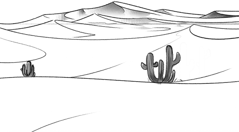 Shaded cacti.​