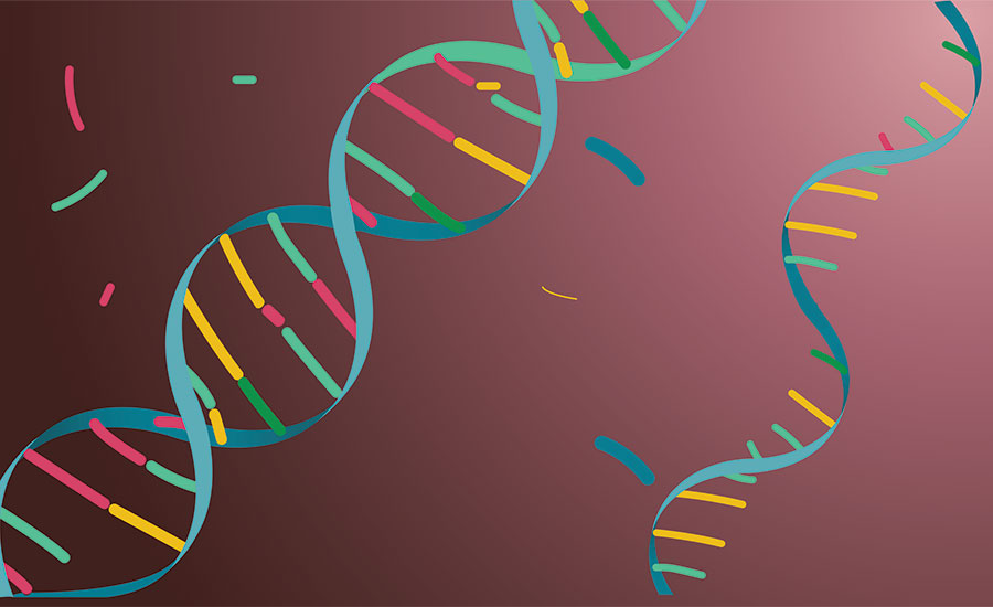 DNA and RNA structure. Image used in the “DNA vs. RNA — 5 Key Differences You Should Know” blog post.