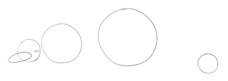 Four circles of various sizes with two oval shapes added to the front circle — one for the dolphin’s eye and the other for its beak.