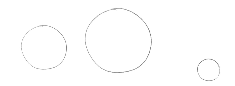 Three circles of various sizes — the middle one is the largest, the one at the front is slightly smaller and the back circle is the smallest.​