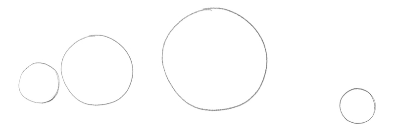 Four circles of various sizes determining the length of the dolphin’s body.​