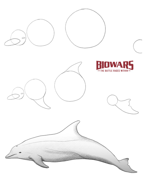 How to draw a dolphin with a pencil step-by-step drawing tutorial.