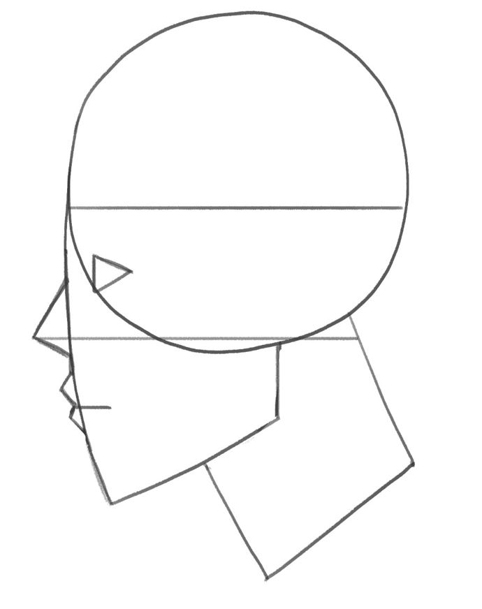 Sketch of a head from the side.