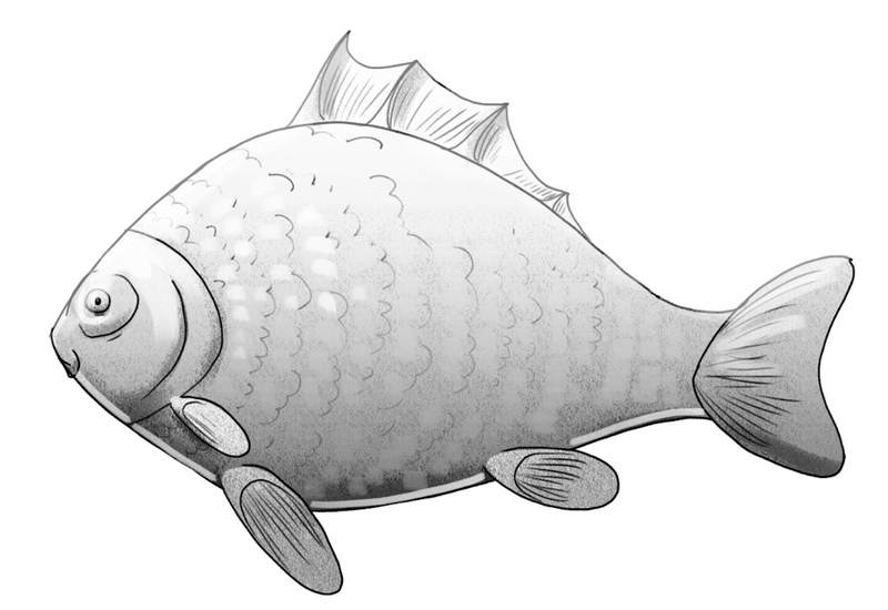 The fish drawing is finished. ​