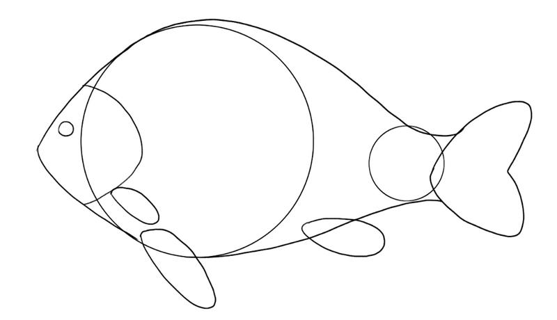 Fish Drawing Guide: 6 Steps For Beginners [Video + Images]