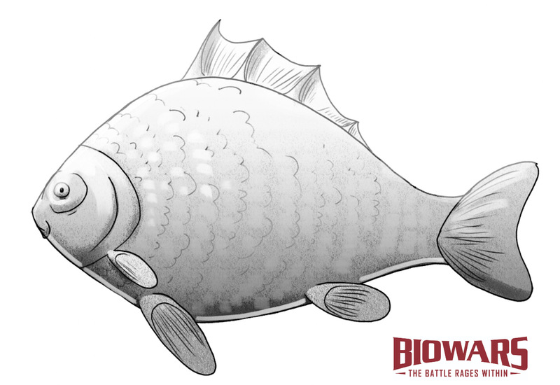 How to Draw Fish: Easy Step-by-Step Fish Drawing [With Video