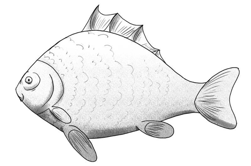 The fish drawing is shaded in different grey hues. 