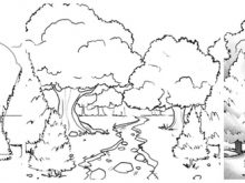 Steps to drawing a forest.