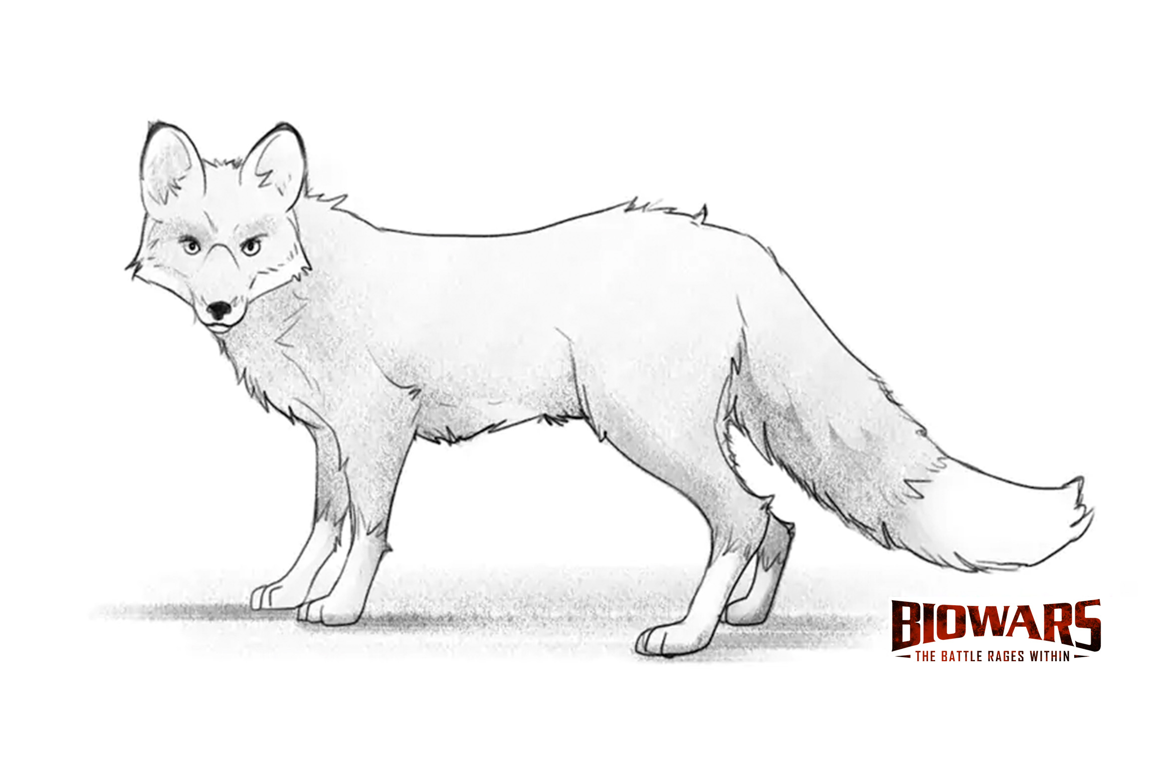 fox drawing hero image