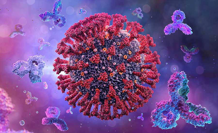 A 3D depiction of antibodies attacking a corona virus cell. ​