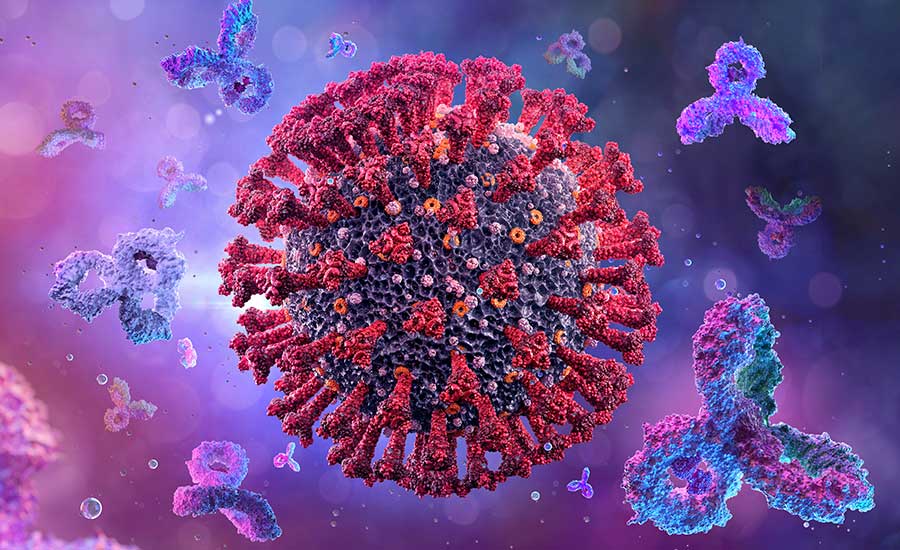 A 3D depiction of antibodies attacking a corona virus cell. 