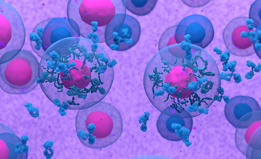 A 3D depiction of B-Cells as they produce antibodies. ​