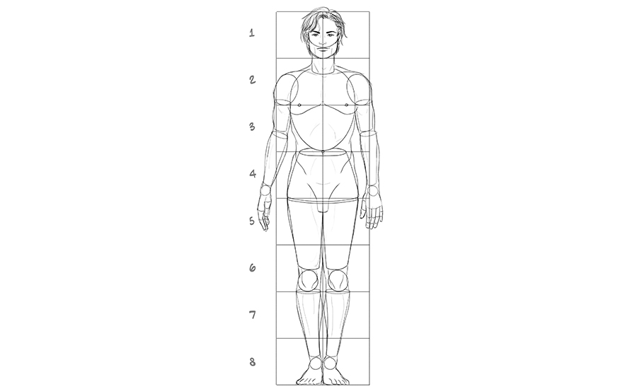 Male basic proportions. Image used in the "How To Draw A Person" blog post.