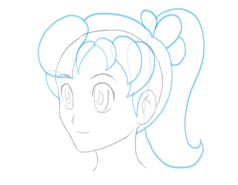 The sketch of the ponytail.​