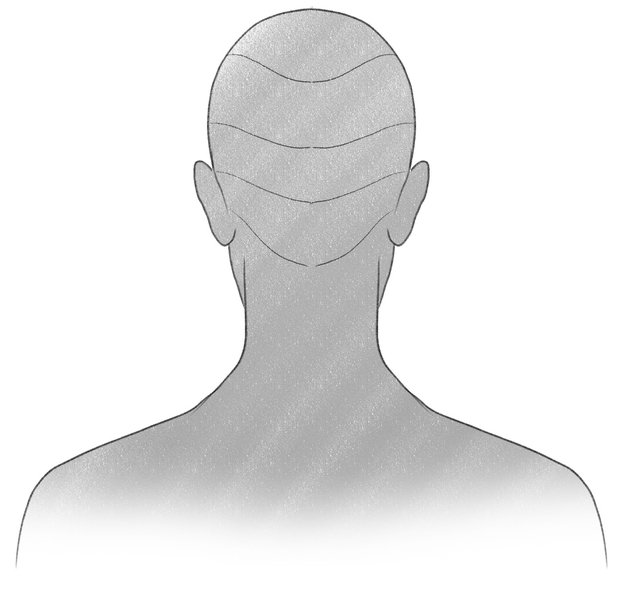 A drawing of a man depicted from the back with his hair divided into quarters as a base for the box braids.​