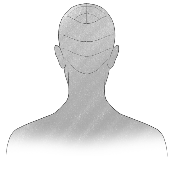 A drawing of a man depicted from the back with the top layer of his hair further segmented into several parts.​