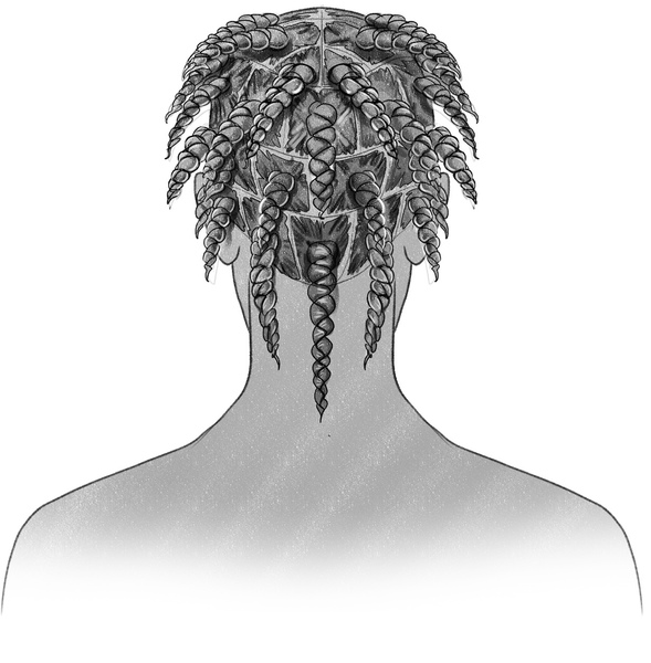 Finished drawing of the box braids. ​