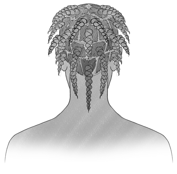 The box braids shaded into a light grey hue. ​