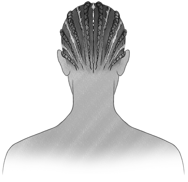 Shaded drawing of the cornrows. ​