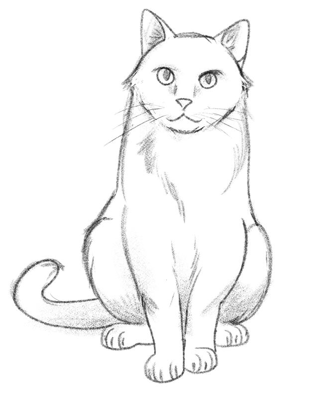 Cat Line Drawing Images – Browse 184,085 Stock Photos, Vectors, and Video |  Adobe Stock