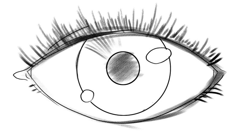 Photo showing how to draw eyelashes. 