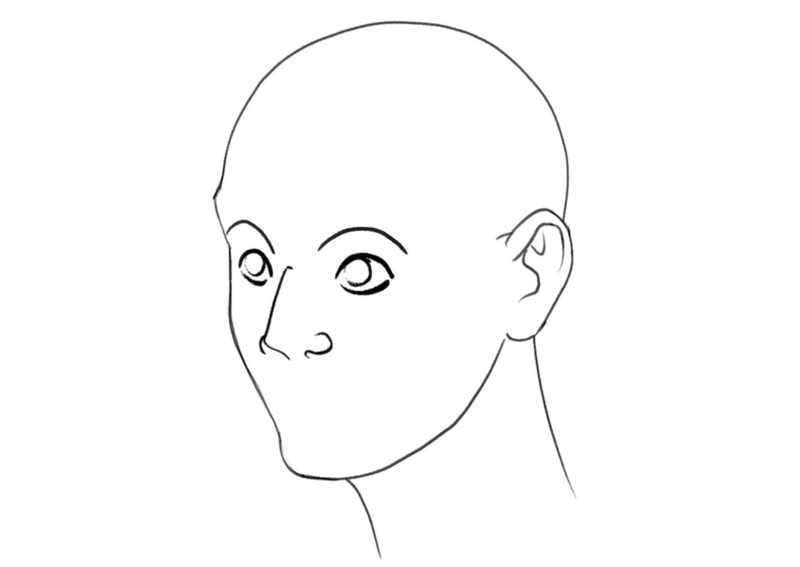 Illustration of the eyebrows.​