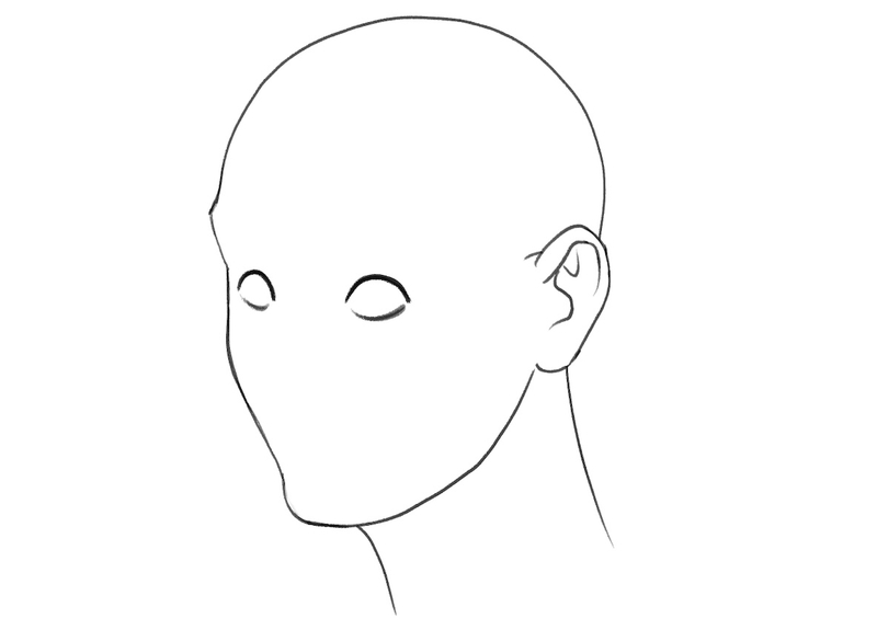 Illustration of the lower eyelids.​