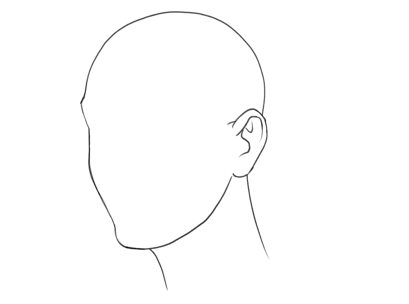 Illustration of a head outline