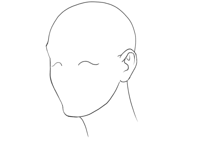 Illustration of the upper eyelids.​