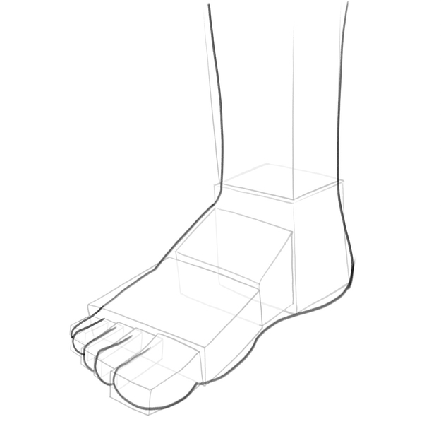 Foot contour.