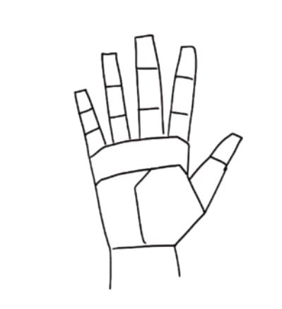 Add other fingers to complete the basic hand drawing.