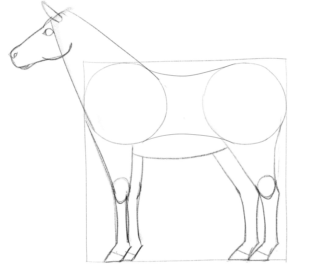 How to Draw a Horse (Head Detail)