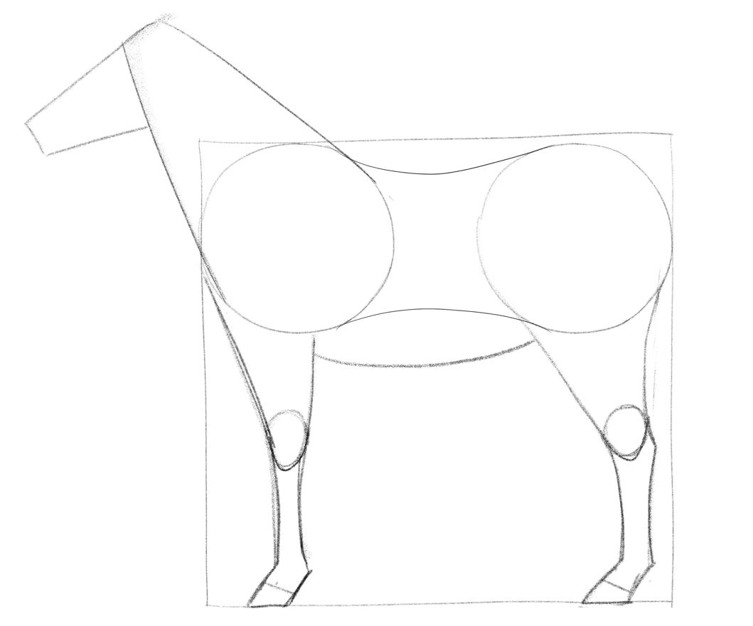 Illustration showing finished horse’s legs. ​