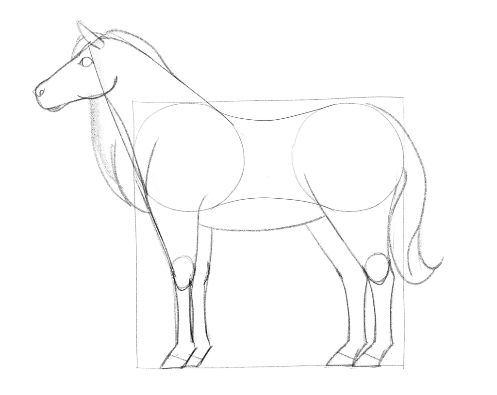 How-To-Draw-Horses  Horse drawings, Horse art drawing, Horse