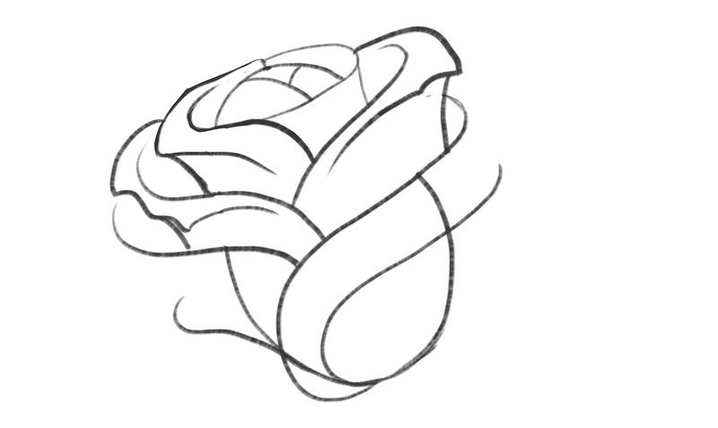 Custom drawing of a rose core with several petals added to it. 