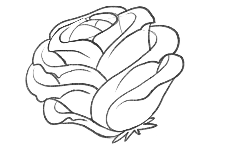 The sketch of a rose sepal placed at the bottom of the flower. 