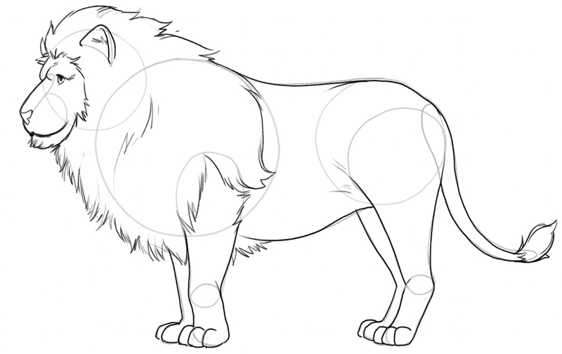 The drawing of the lion’s body with the finished tail. ​