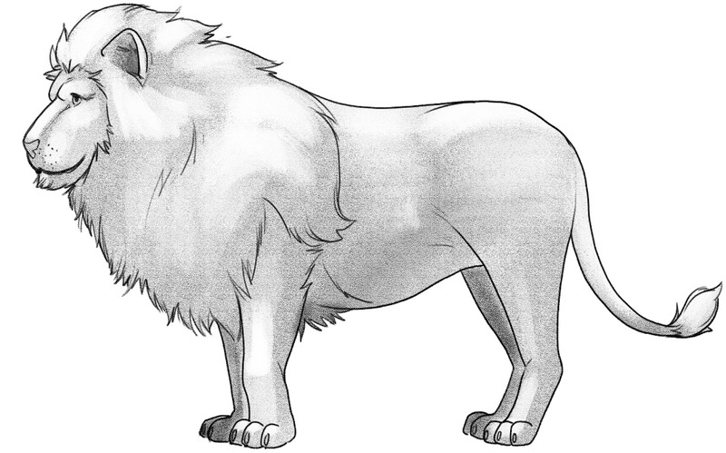 The shaded lion’s body in a soft grey hue. ​