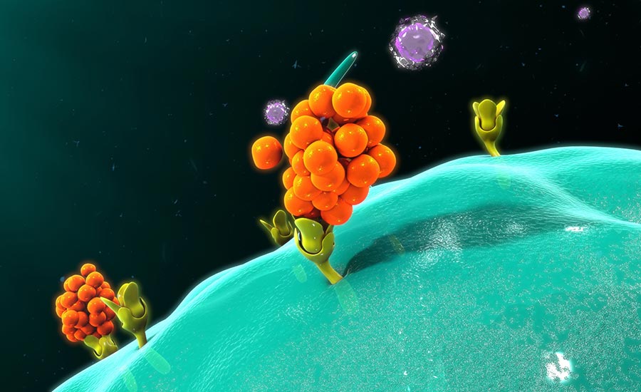 A stock image showing a macrophage releasing cytokines.