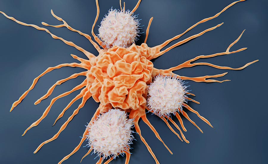 Natural Killer Cells attacking a cancerous cell.