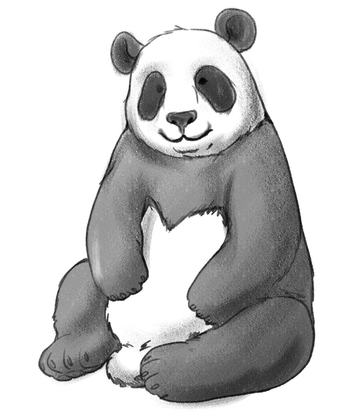 The unneeded lines are erased and the panda drawing is finished.​