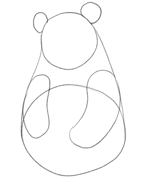 Panda’s front legs look like two kidney beans.​