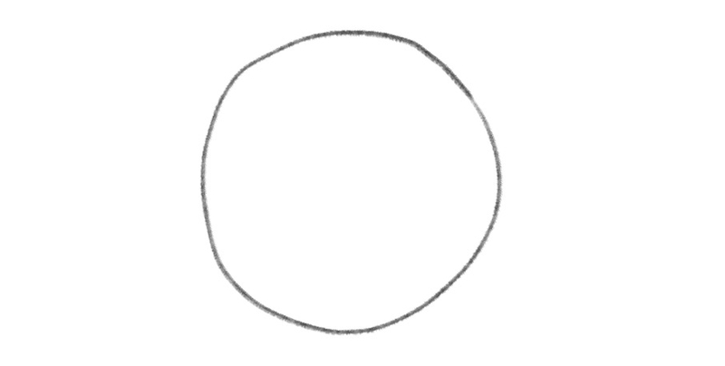 The sketch of a circle that represents the panda’s head.​