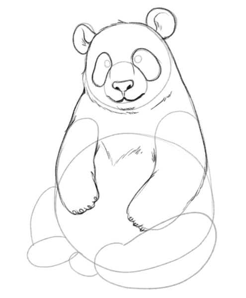 The upper part of the panda’s body is outlined.​