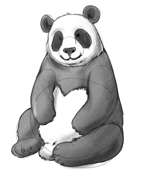 The panda’s body is now shaded.​