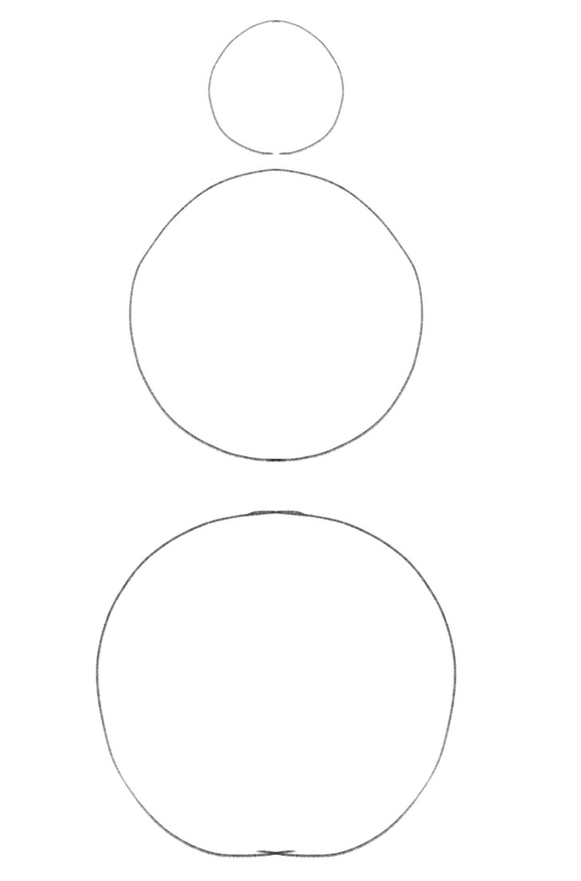 Three circles of different sizes — the first is the smallest while the third is the largest of the three. ​